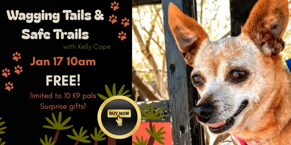 Wagging Tails & Safe Trails